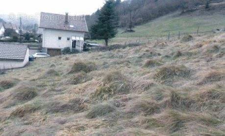 Terrain à LA BRESSE