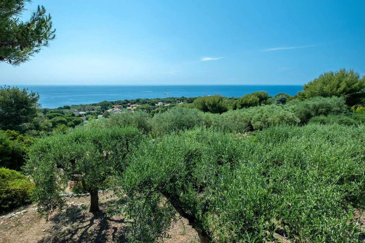 Maison à SAINT-JEAN-CAP-FERRAT