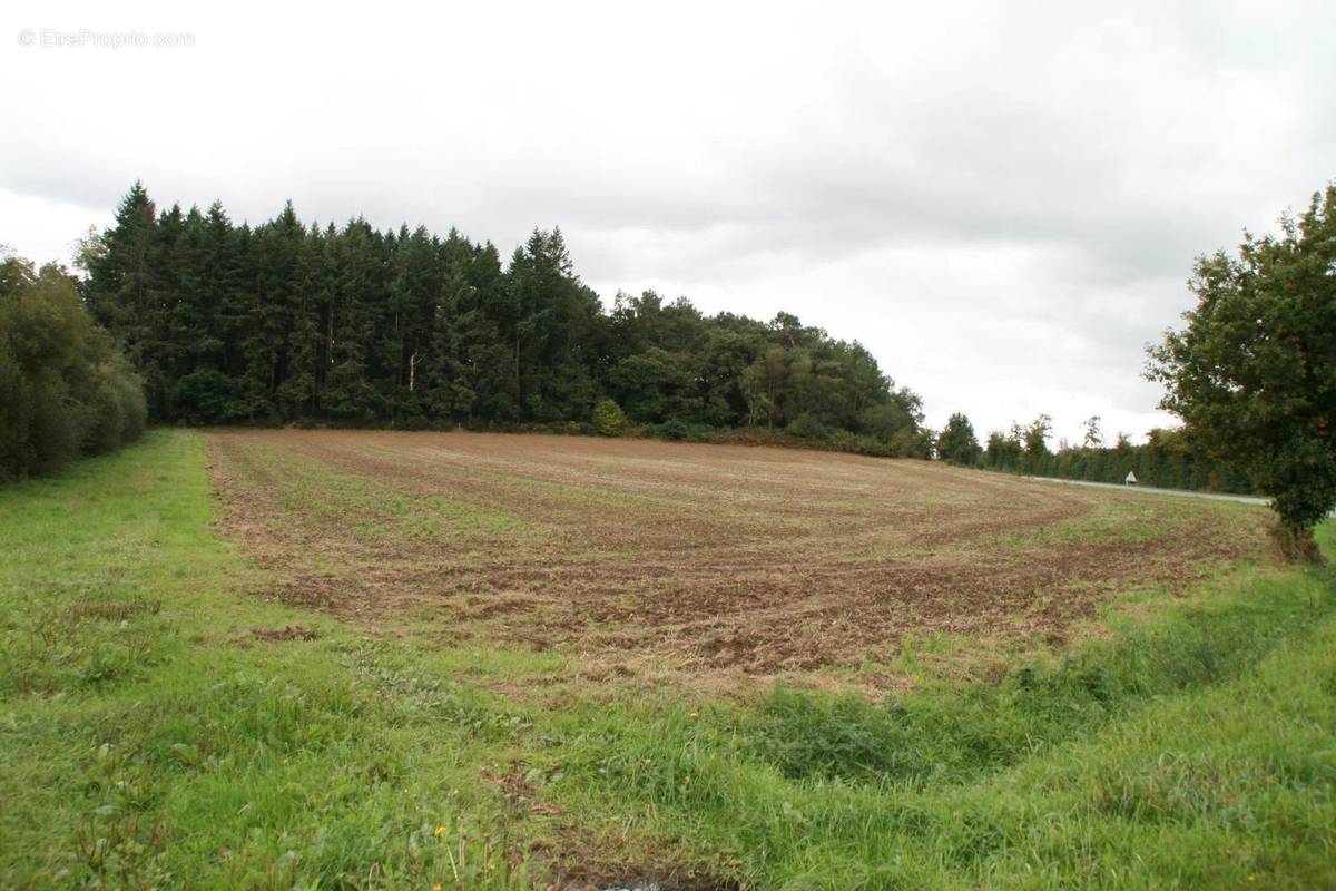 Terrain à GUEGON