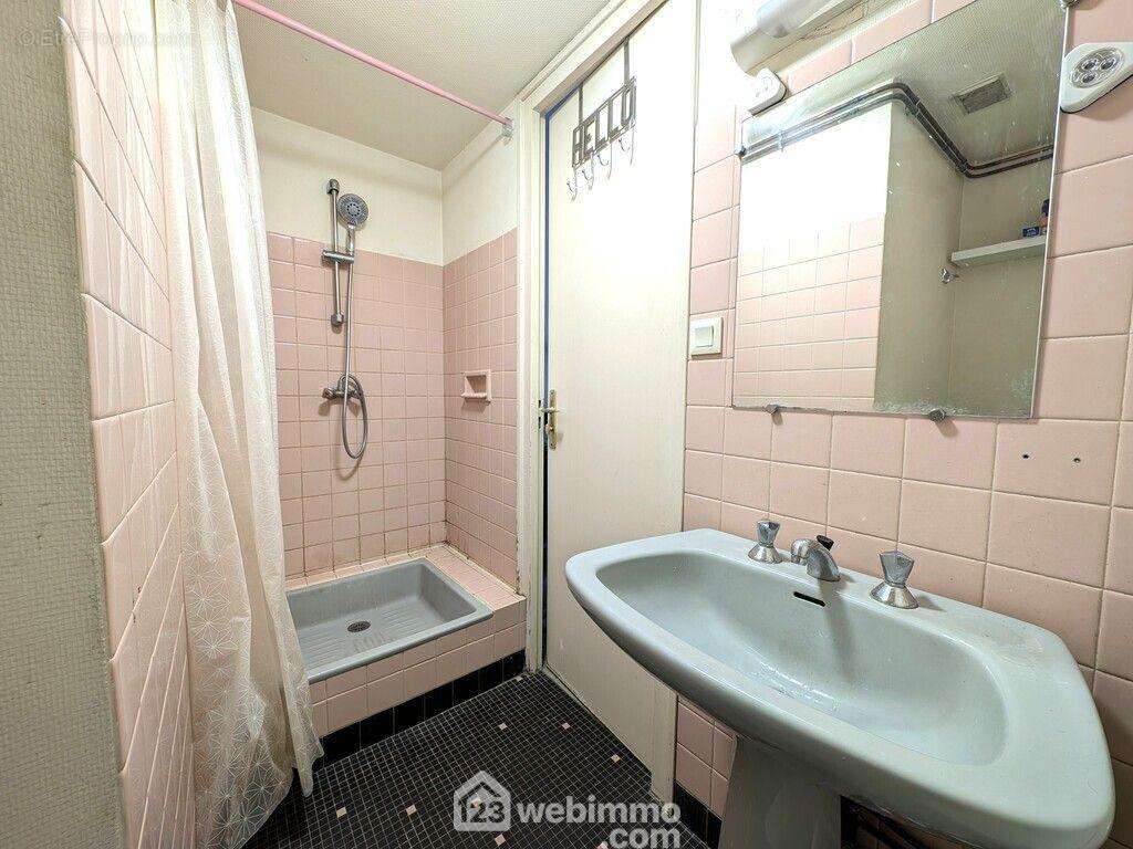 ...et une salle de douche avec WC - Appartement à ANGERS