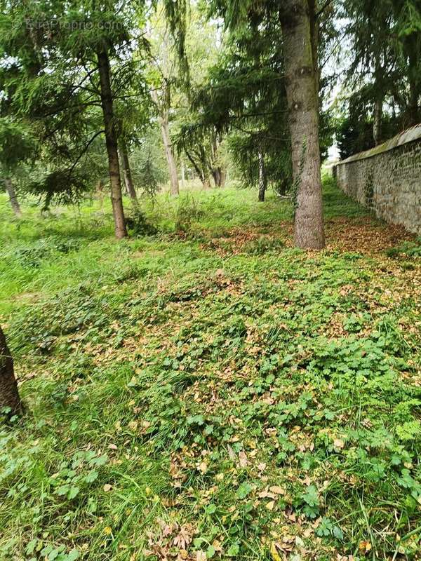 Terrain à SAINT-PRIEST-EN-JAREZ