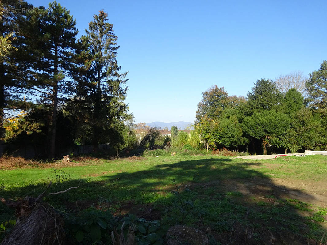 Terrain à MULHOUSE