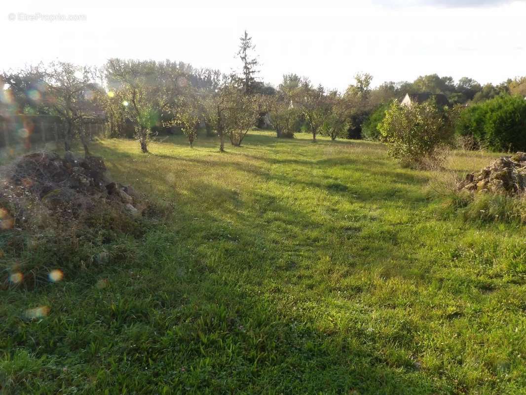 Terrain à AULNAY-LA-RIVIERE