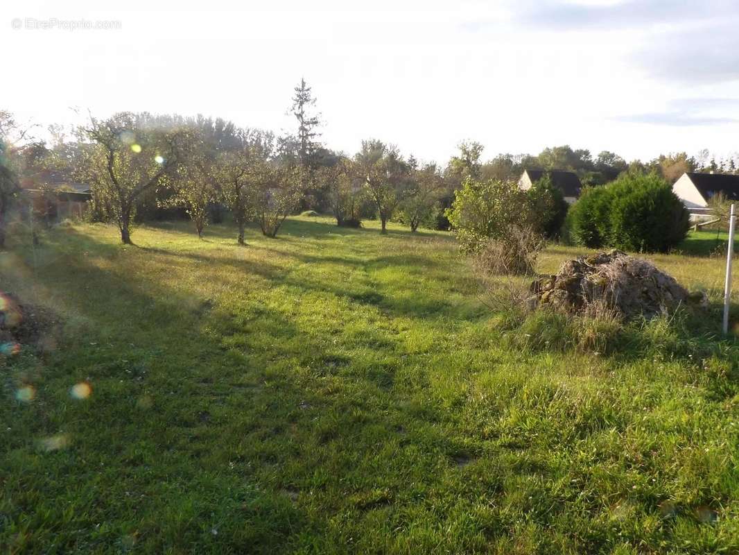 Terrain à AULNAY-LA-RIVIERE