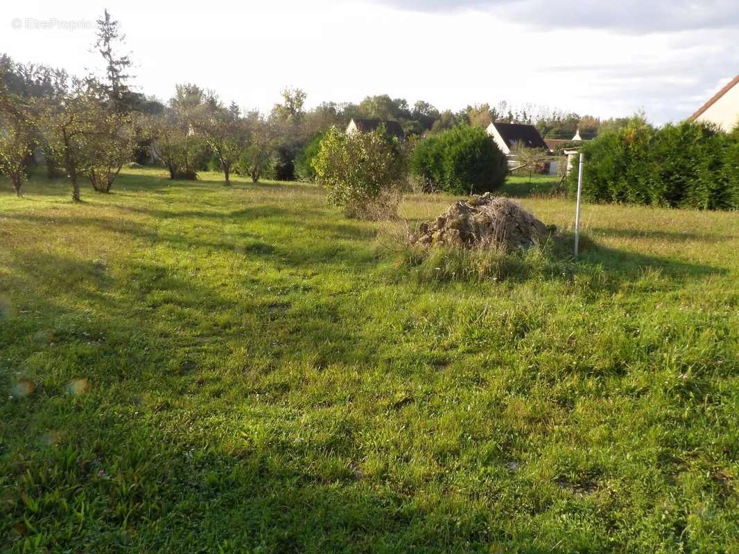 Terrain à AULNAY-LA-RIVIERE