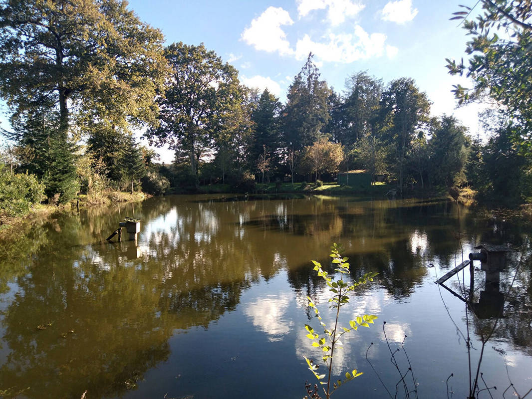 Terrain à COMBOURG