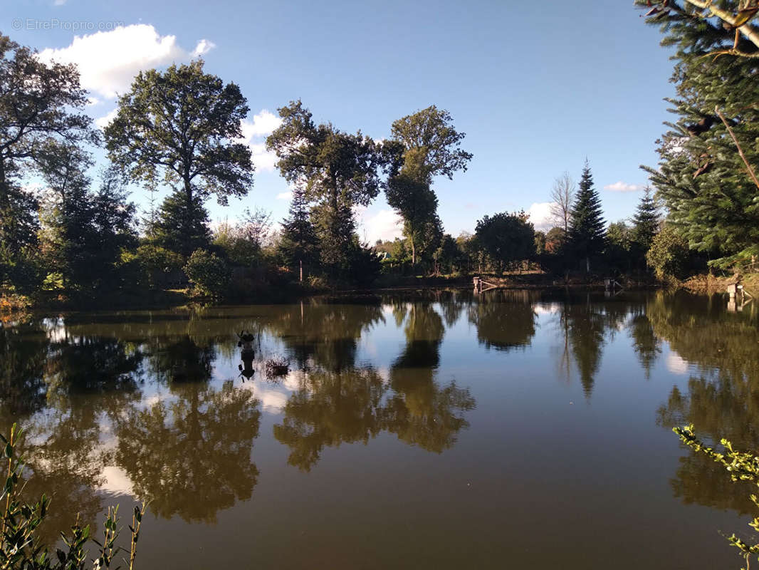 Terrain à COMBOURG