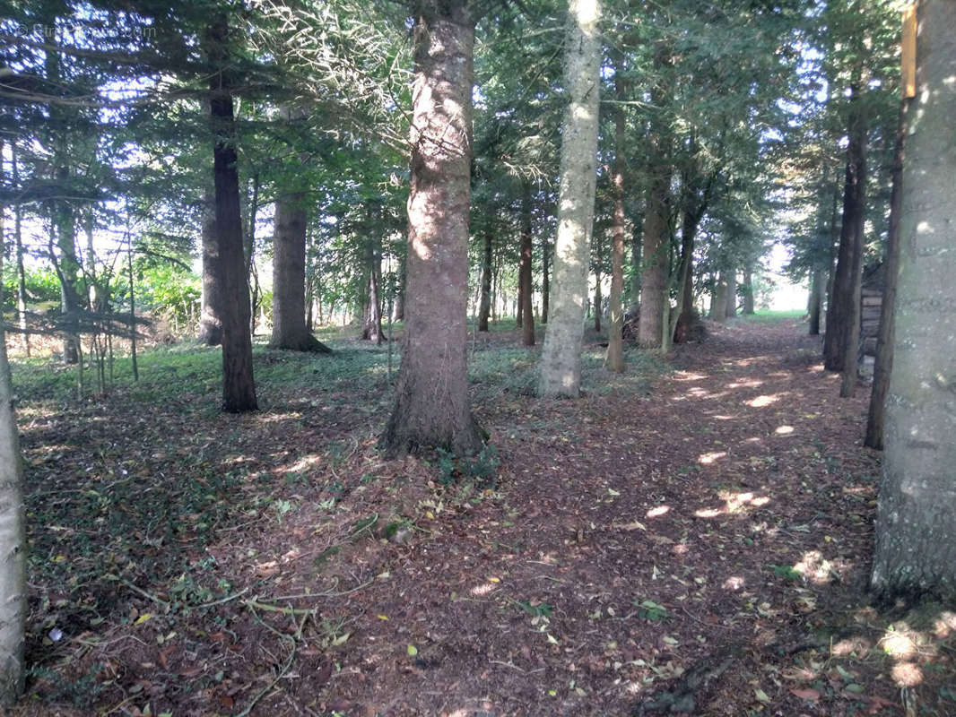 Terrain à COMBOURG