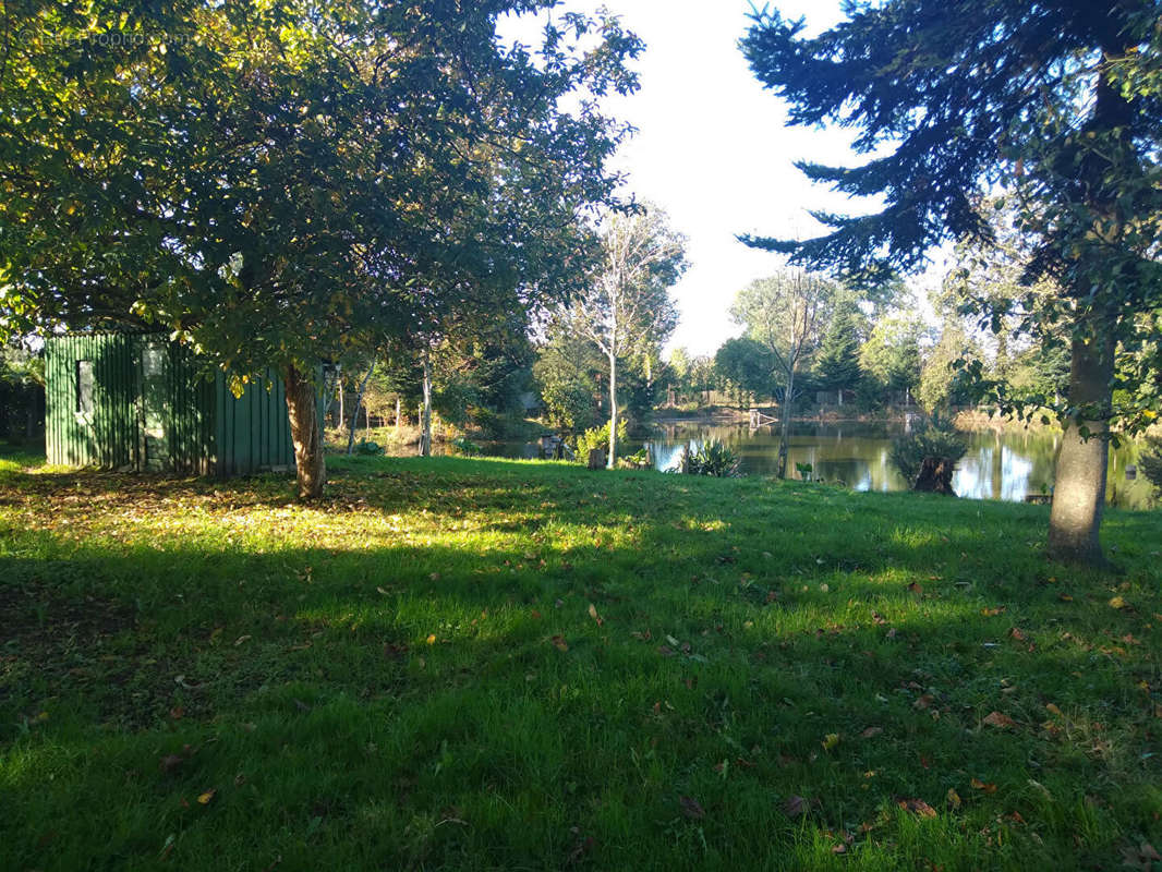 Terrain à COMBOURG