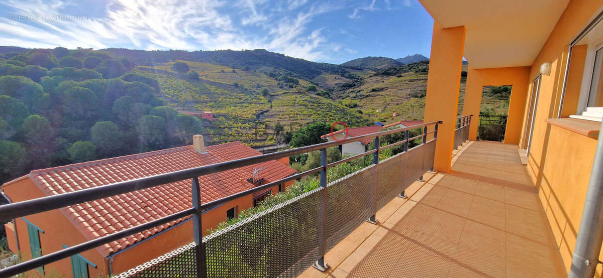 Appartement à COLLIOURE