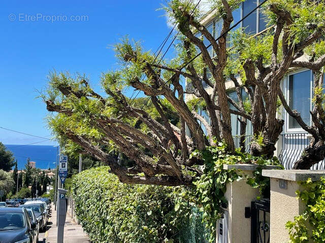 Appartement à CASSIS