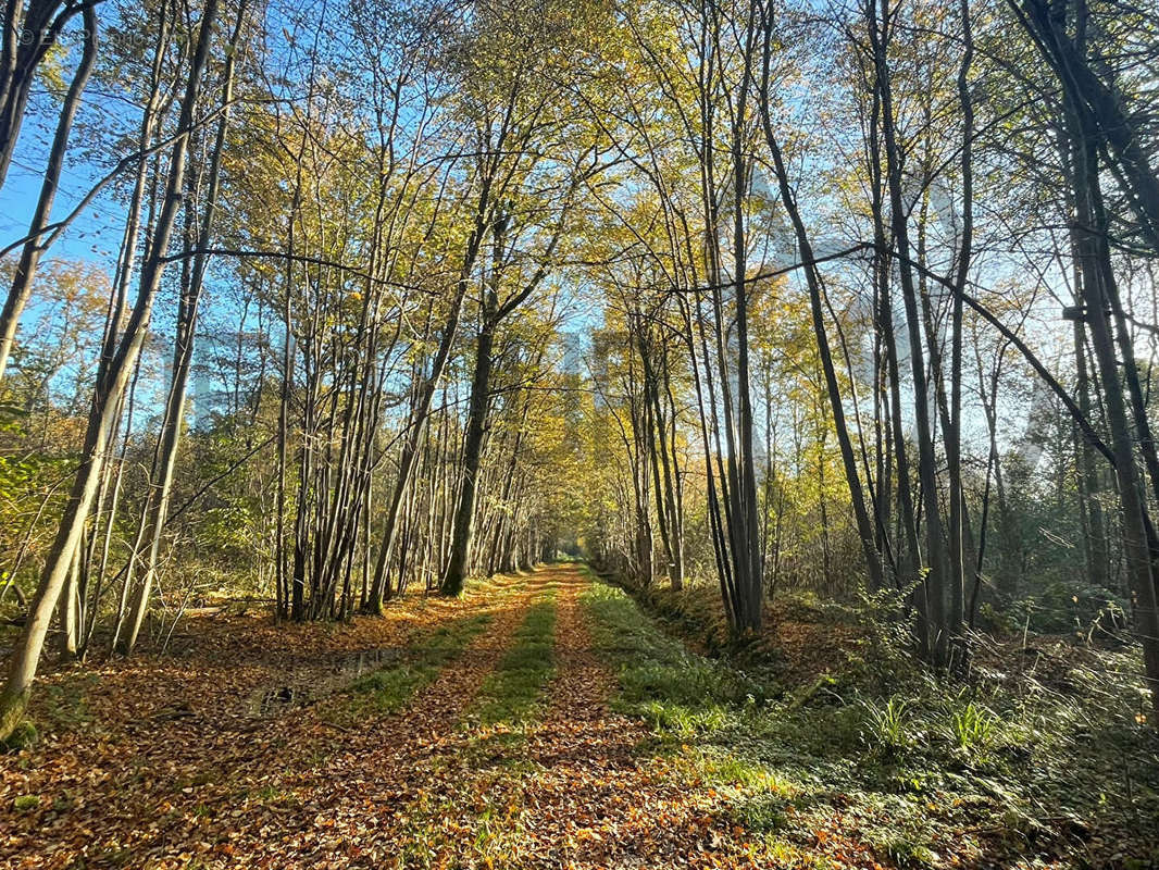 Terrain à MORTCERF