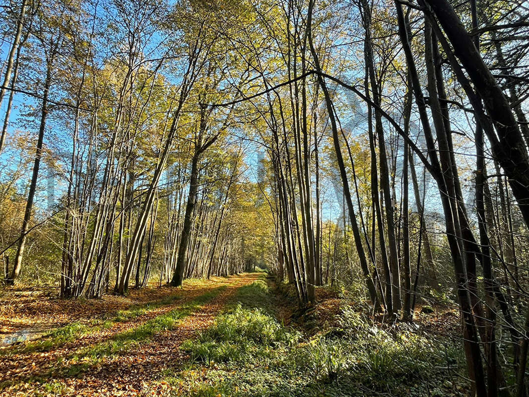 Terrain à MORTCERF