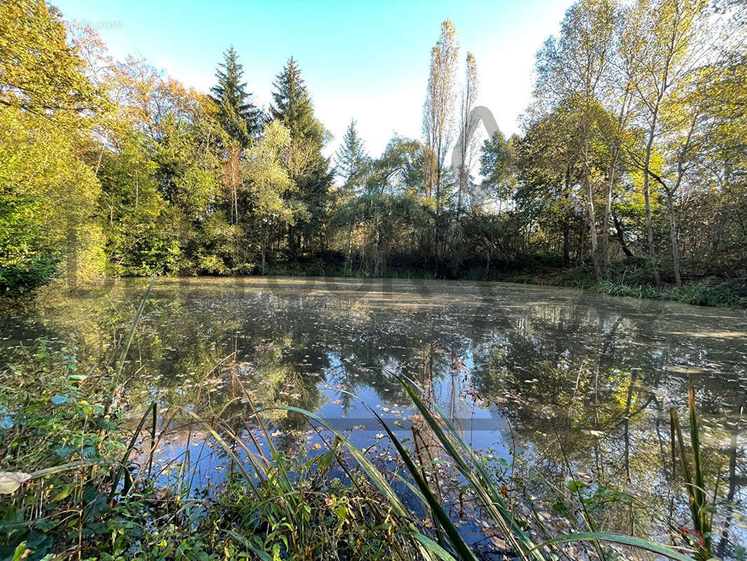 Terrain à MORTCERF