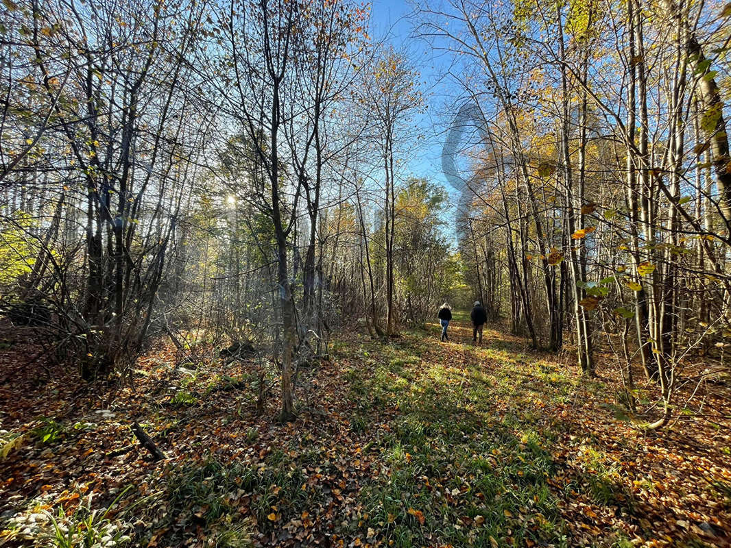 Terrain à MORTCERF