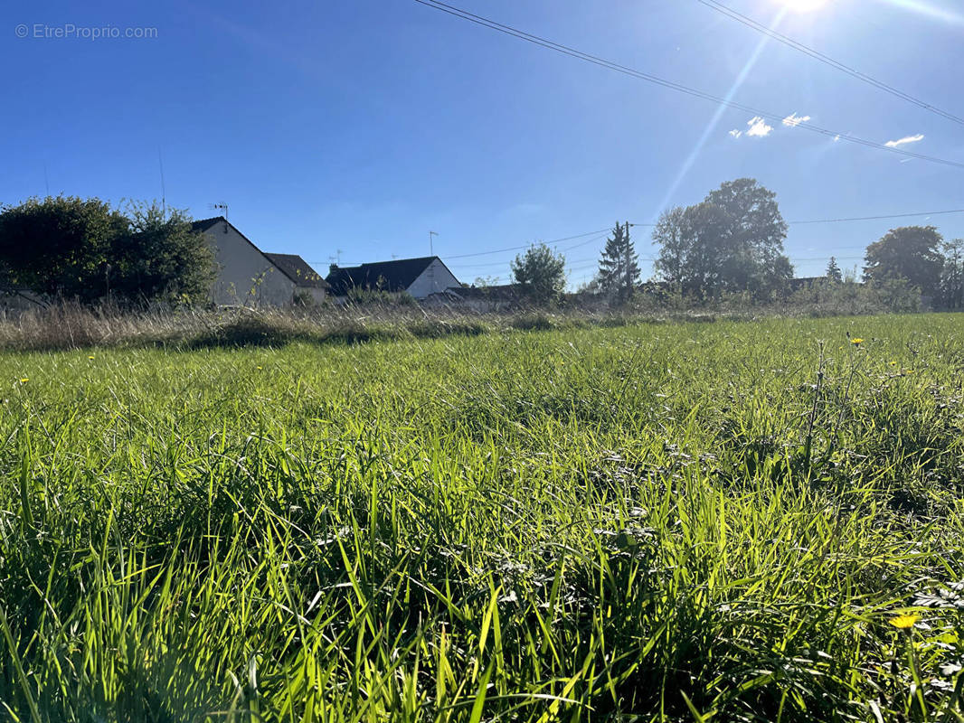 Terrain à SAINT-LAURENT-NOUAN