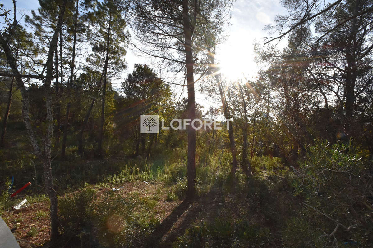 Terrain à BAGNOLS-EN-FORET