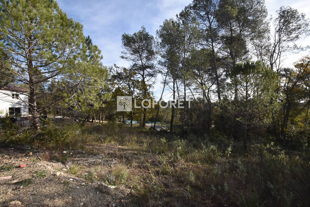 Terrain à BAGNOLS-EN-FORET