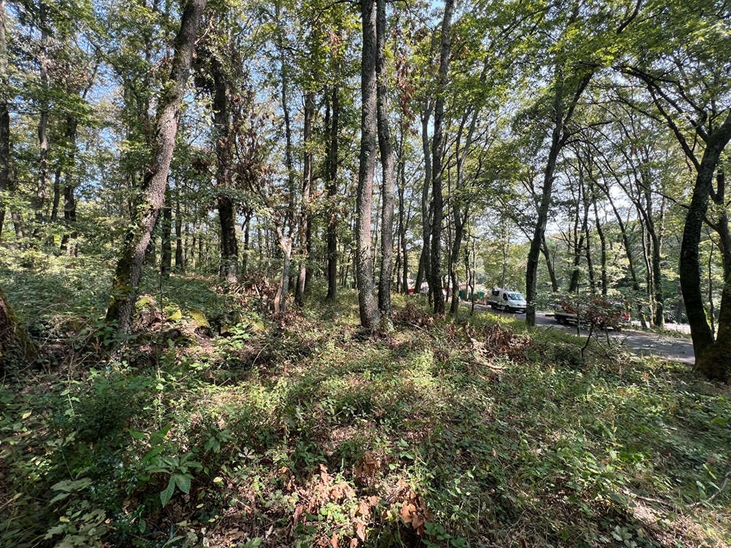 Terrain à BUZET-SUR-TARN