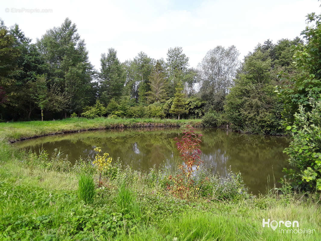 Terrain à FONTAINE-SUR-SOMME