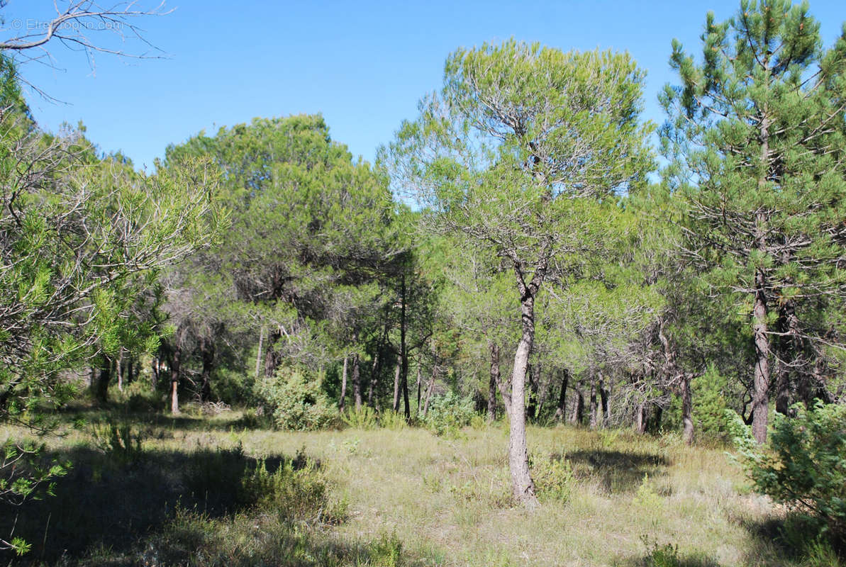 Terrain à SALERNES