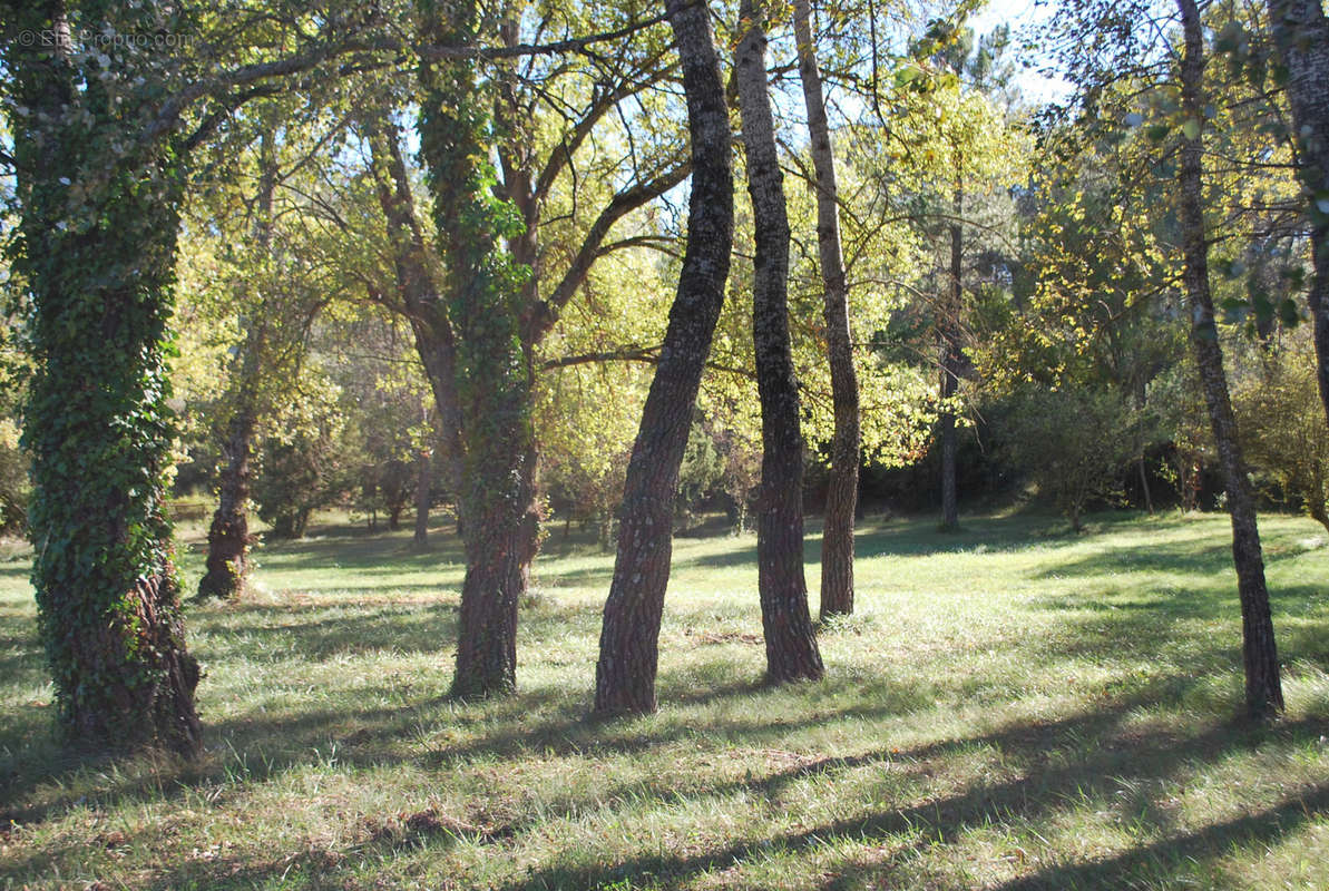 Terrain à SALERNES