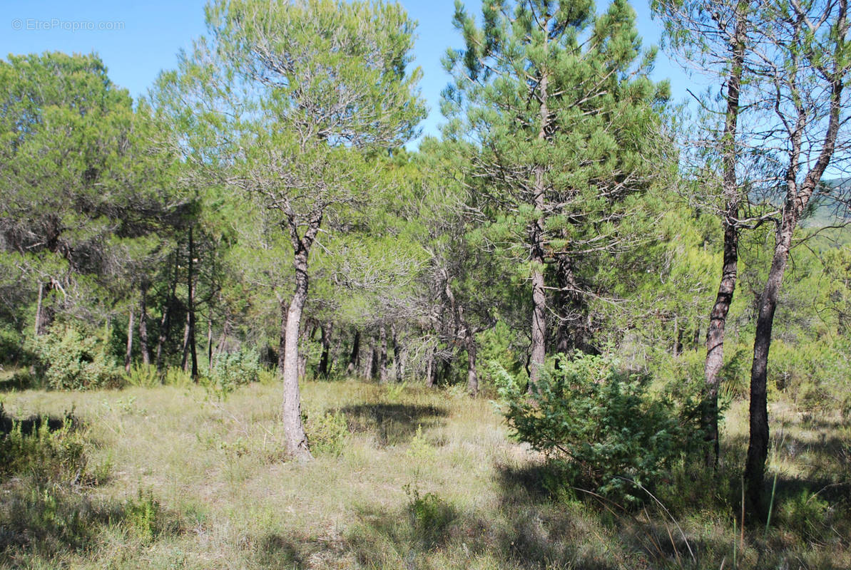 Terrain à SALERNES