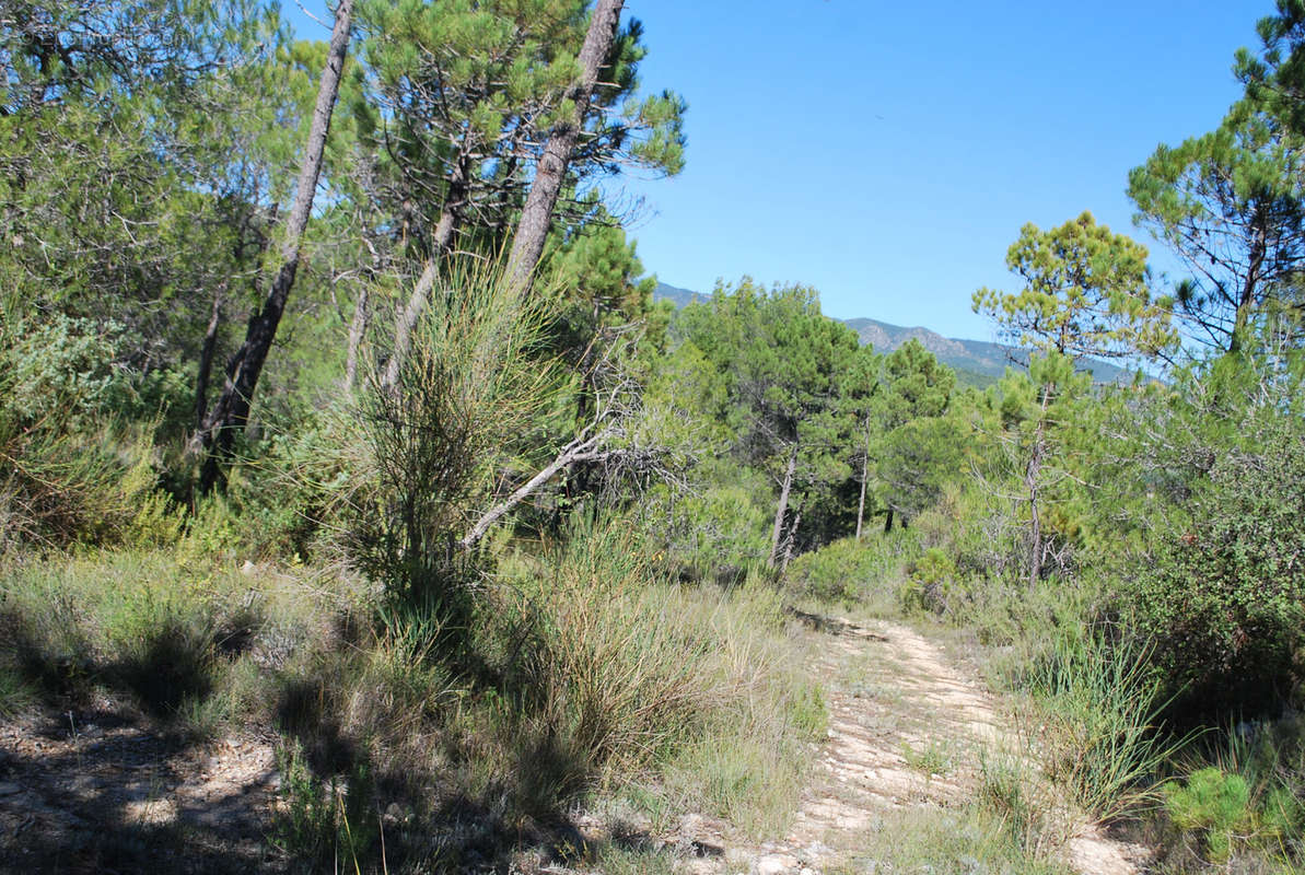 Terrain à SALERNES