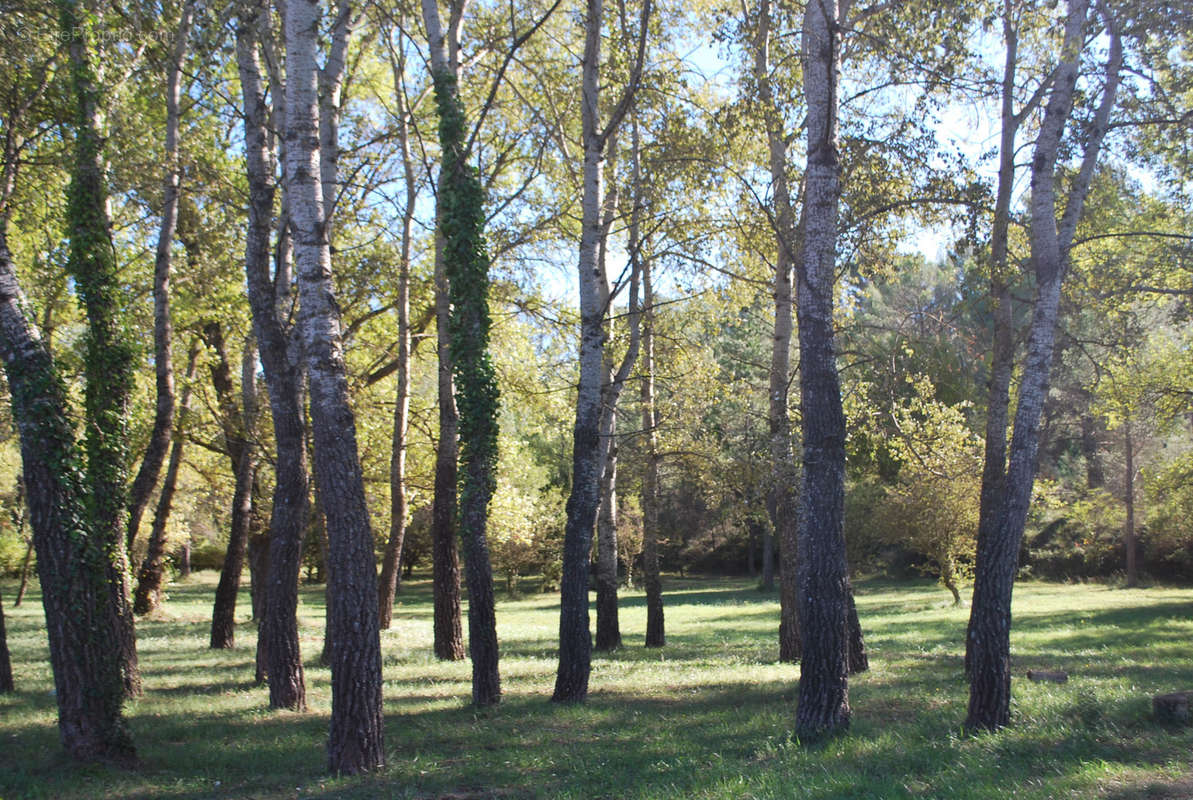 Terrain à SALERNES