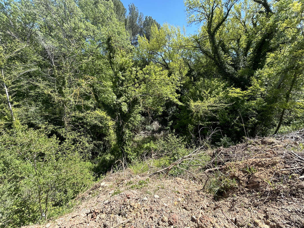 Terrain à VILLECROZE