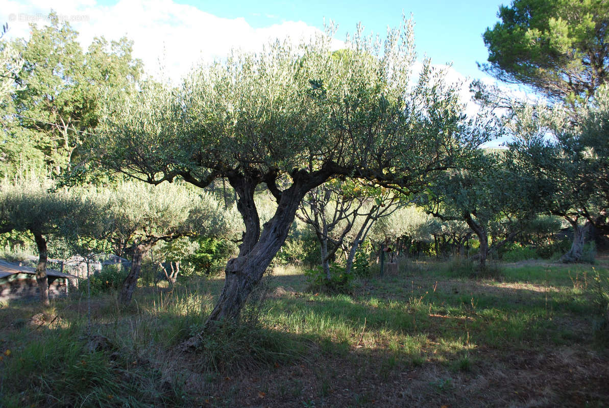 Terrain à SALERNES