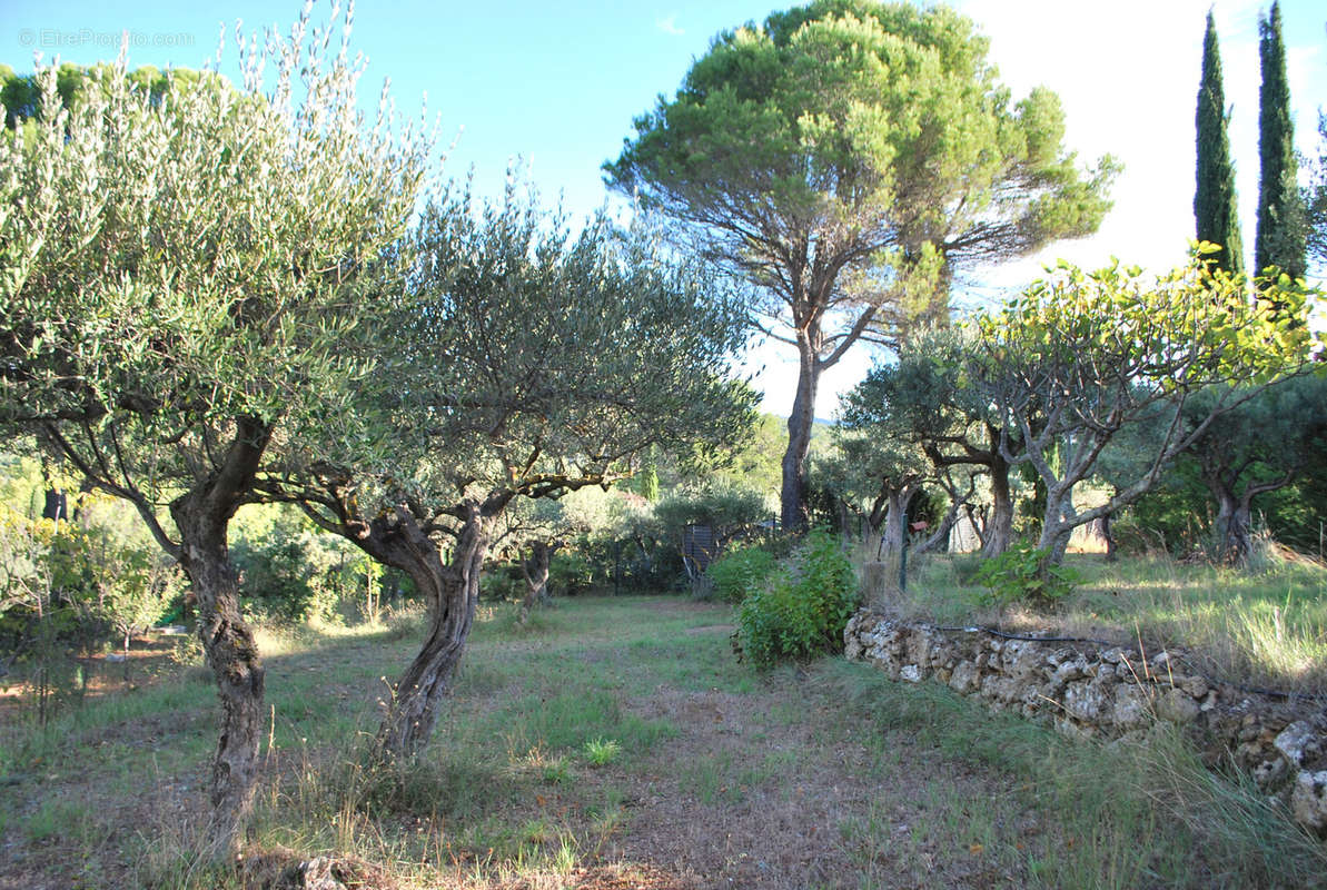 Terrain à SALERNES