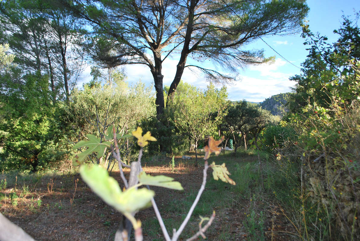 Terrain à SALERNES