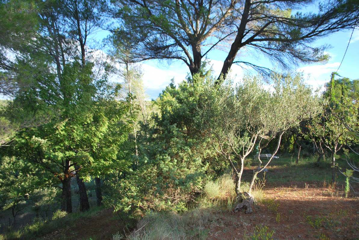 Terrain à SALERNES