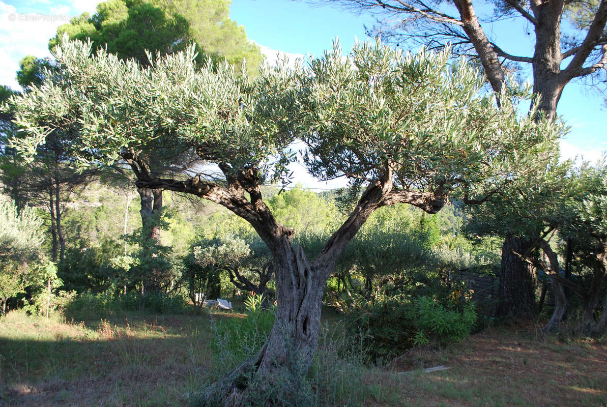 Terrain à SALERNES