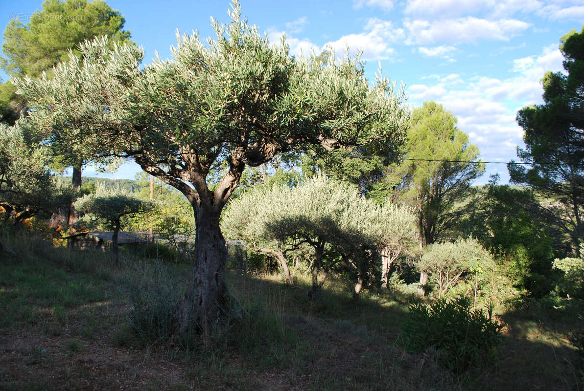 Terrain à SALERNES