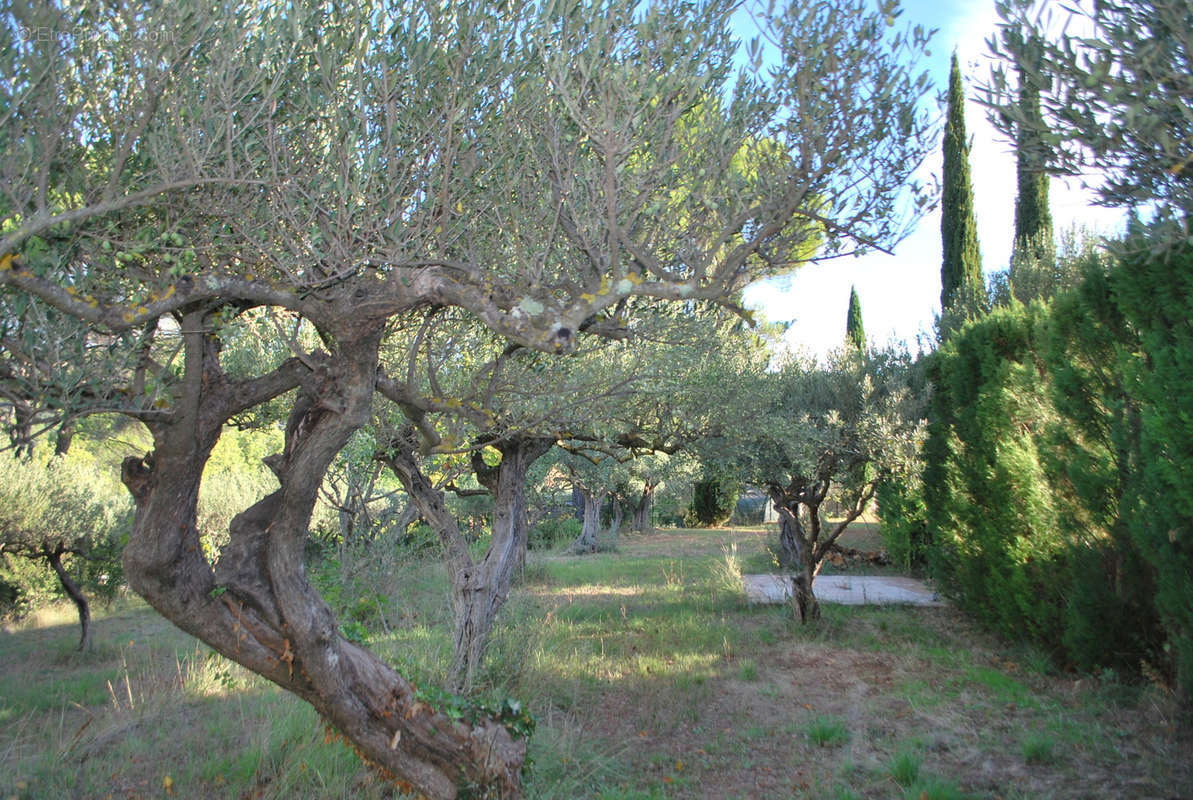 Terrain à SALERNES