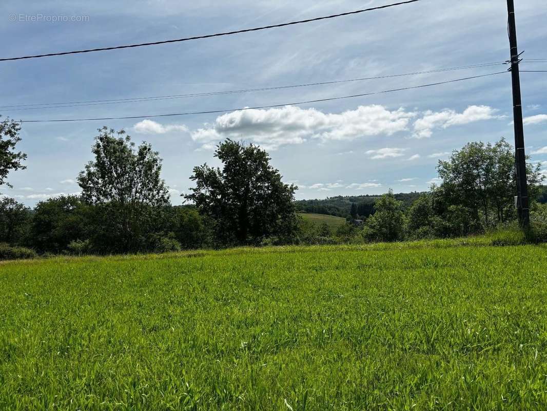 Terrain à SAUVETERRE-DE-ROUERGUE