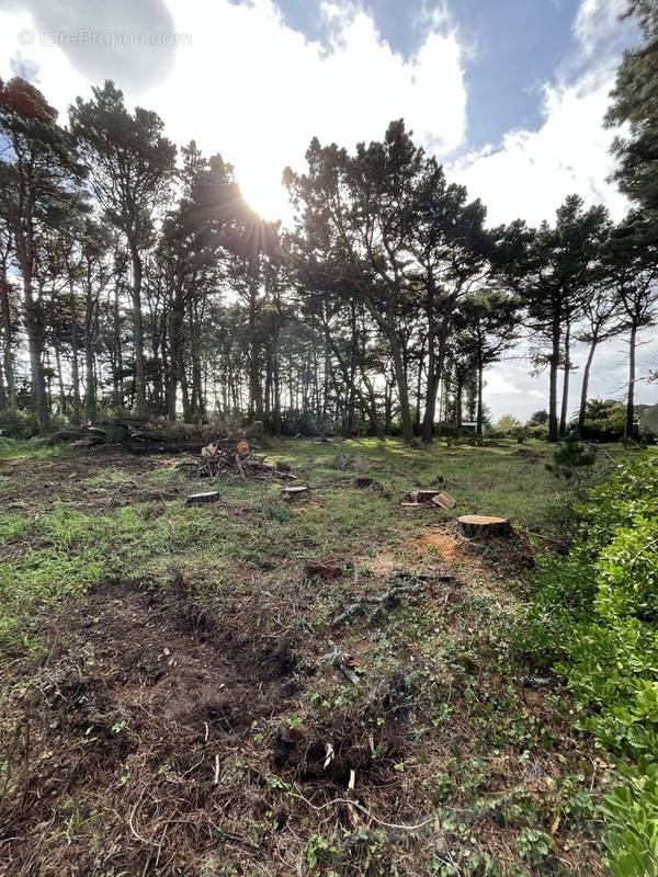 ILE ET COTIER IMMOBILIER - Terrain à GROIX