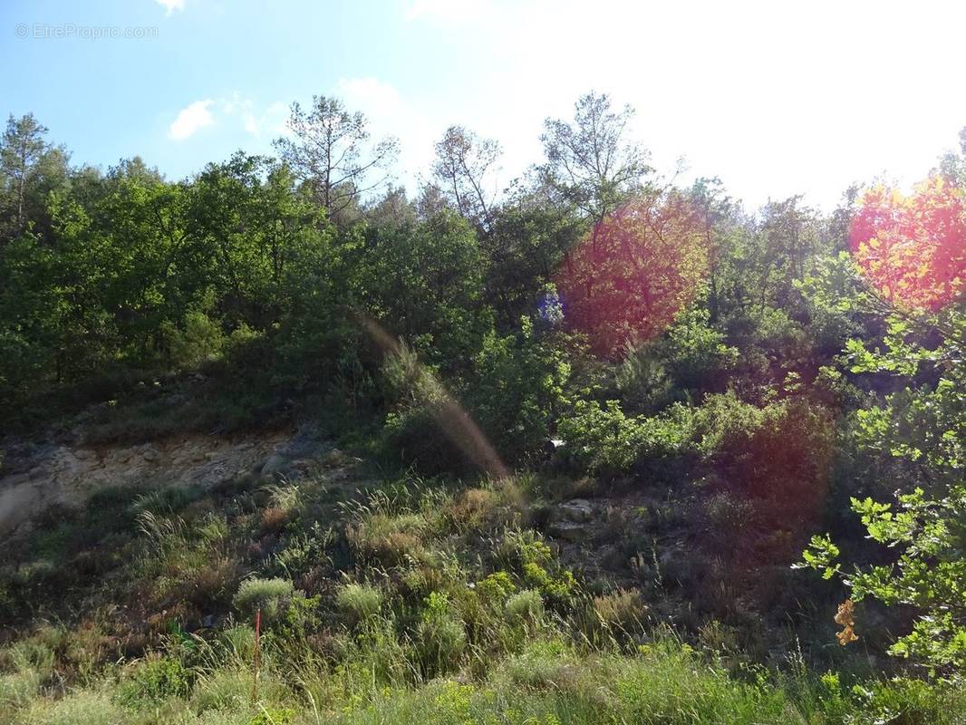 Terrain à VINS-SUR-CARAMY