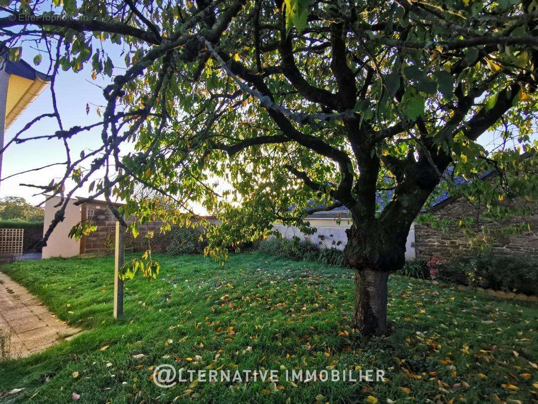 Maison à DOMAGNE