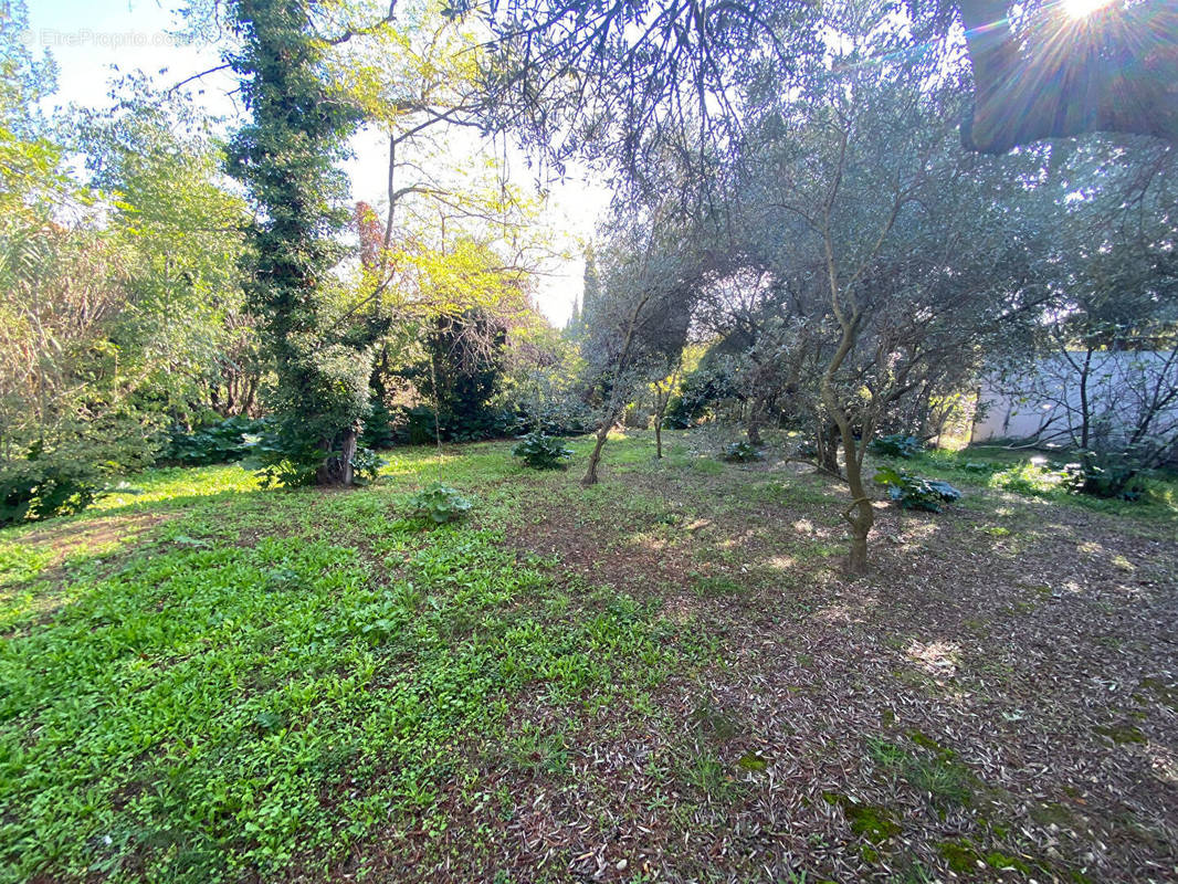 Terrain à CAUMONT-SUR-DURANCE