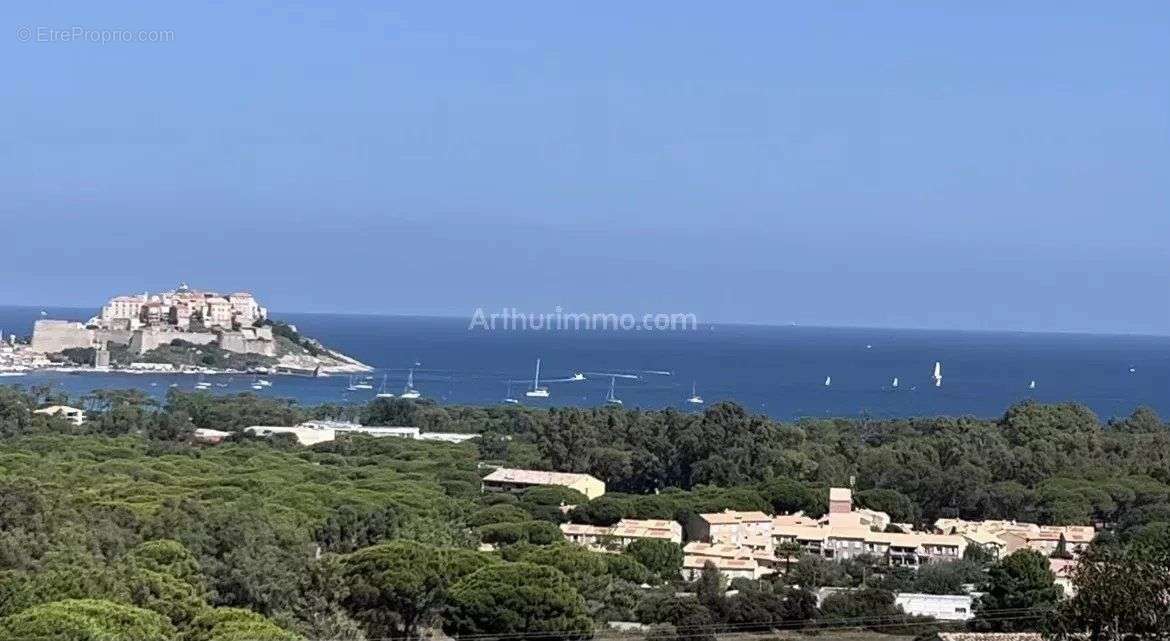 Terrain à CALVI