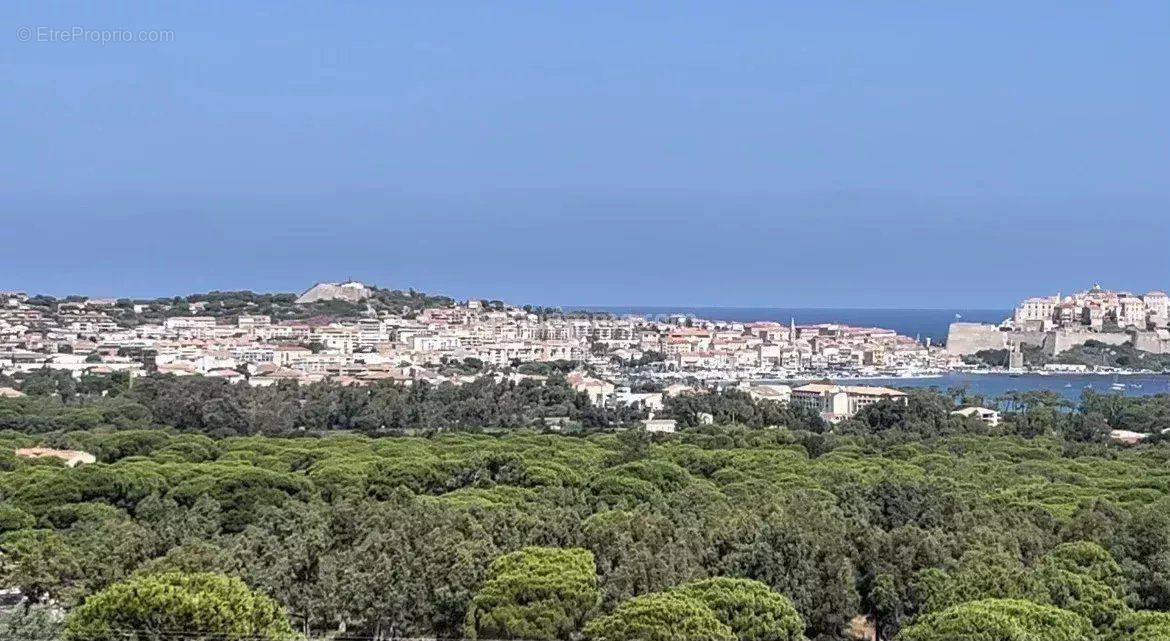 Terrain à CALVI