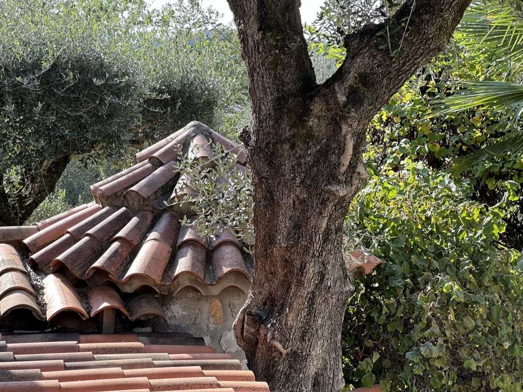 Maison à ROQUEFORT-LES-PINS