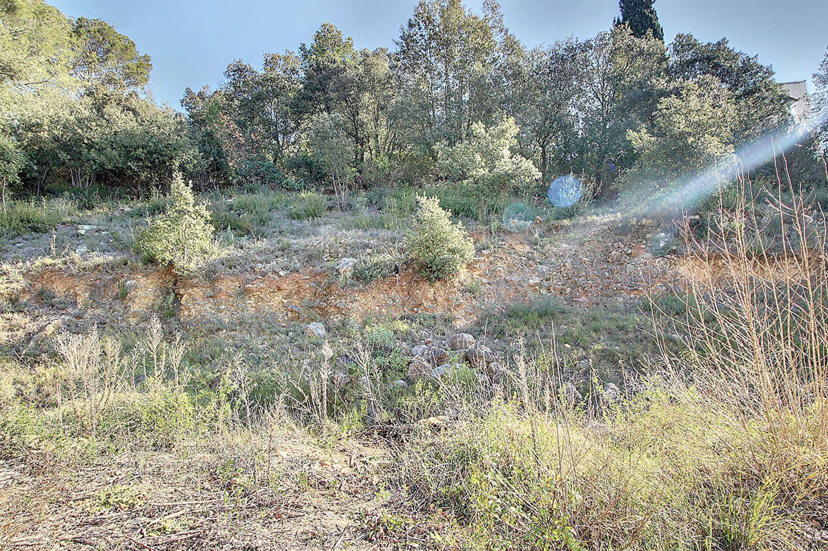 Terrain à TARADEAU