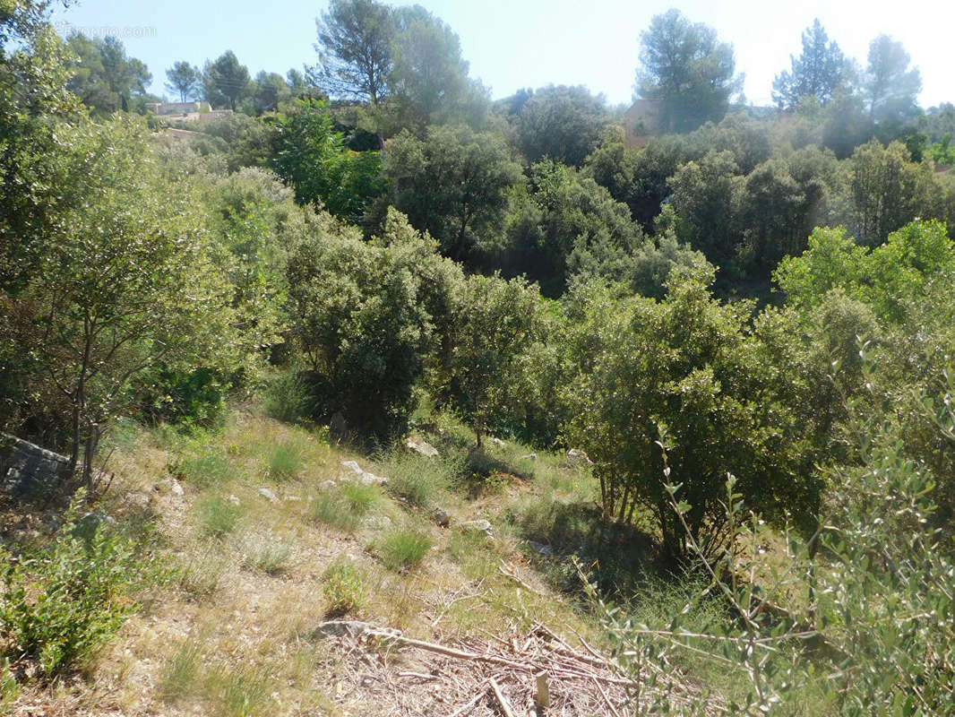 Terrain à TARADEAU