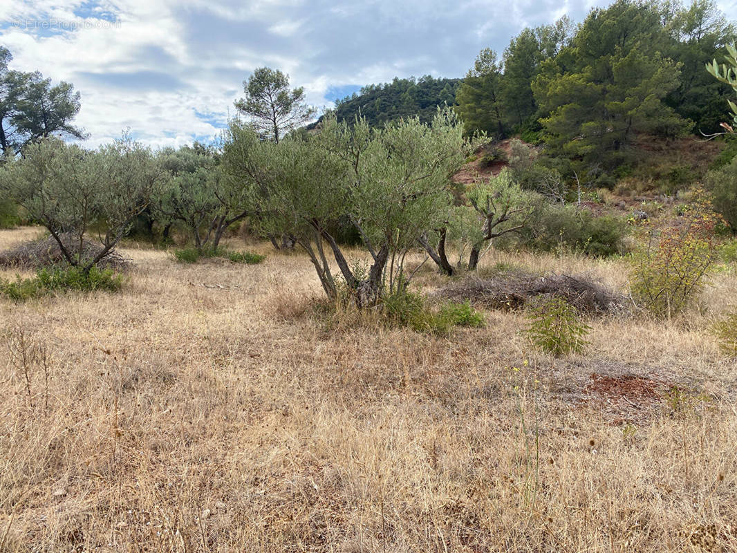 Terrain à GONFARON