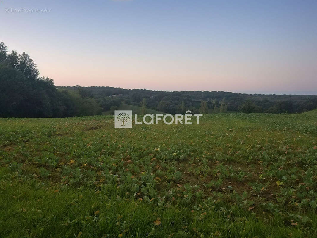 Terrain à VILLEMUR-SUR-TARN