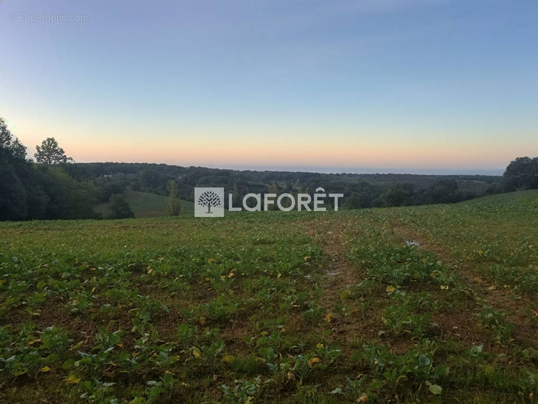 Terrain à VILLEMUR-SUR-TARN